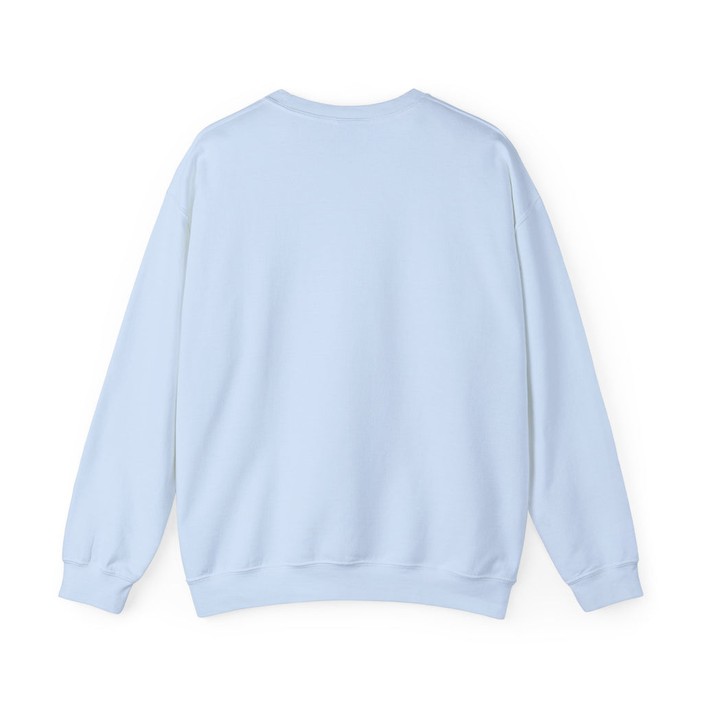 Sweatshirt — 'Quiet Is Never Good' Raccoon Illustration Crewneck