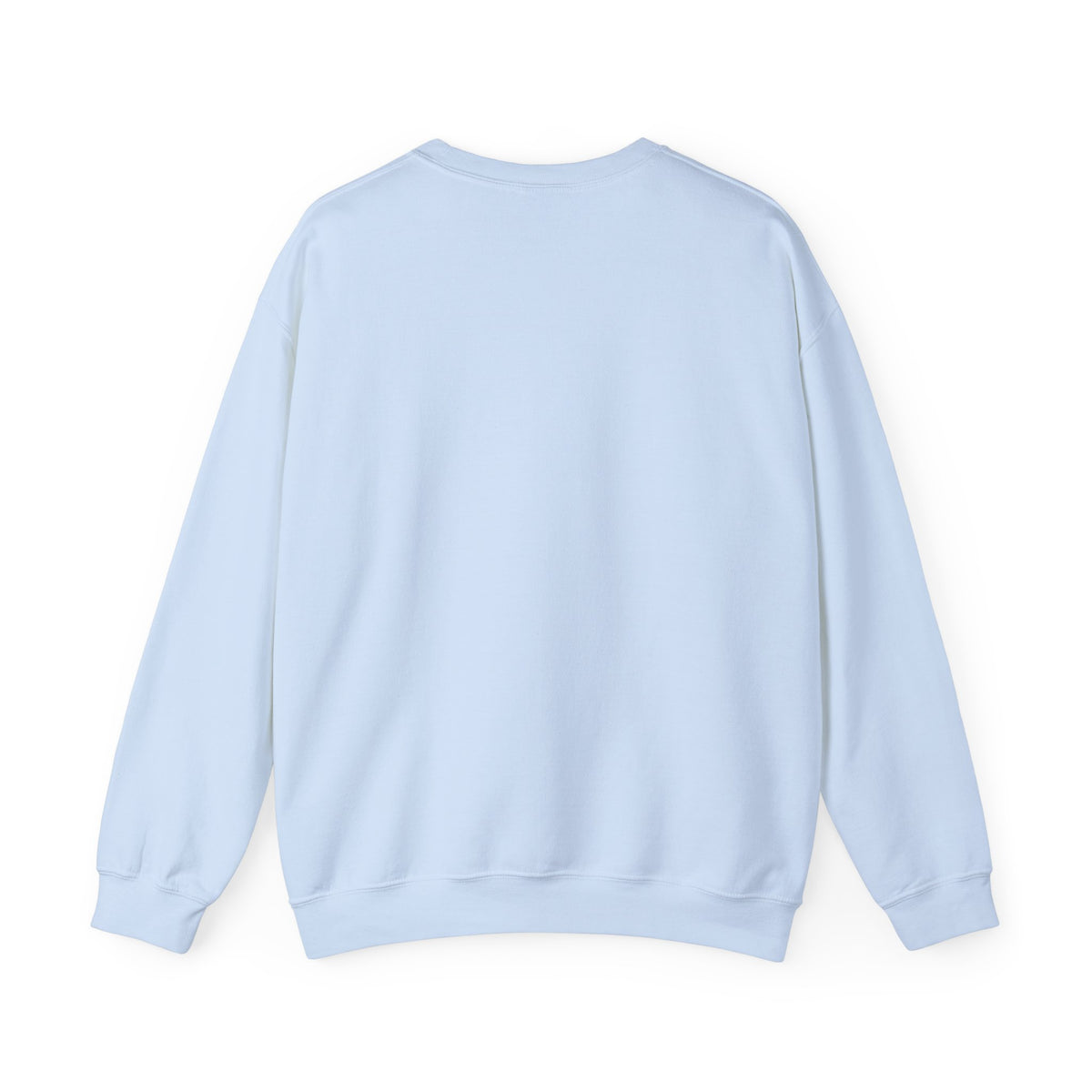 Sweatshirt — 'Quiet Is Never Good' Raccoon Illustration Crewneck