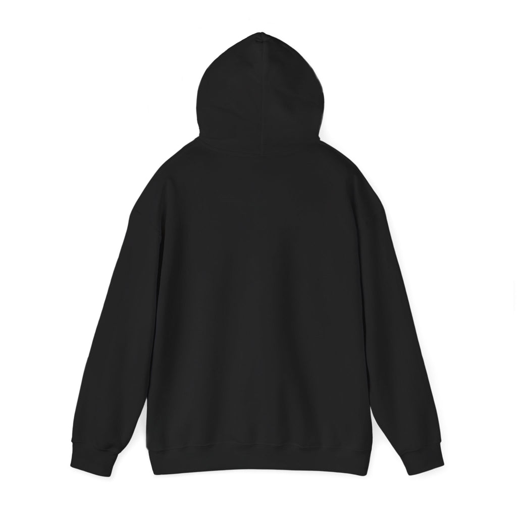 Alive Out Of Spite Hoodie – Pullover