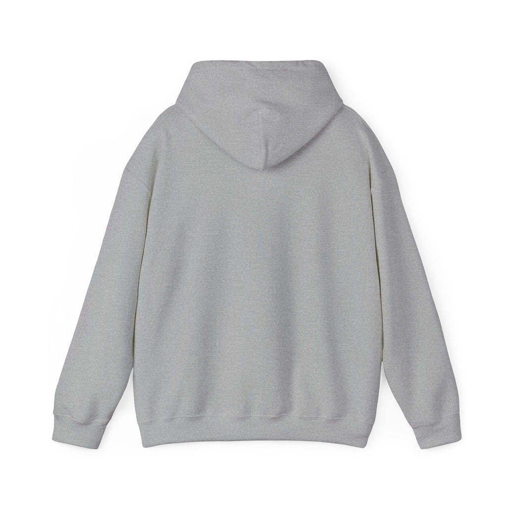 Alive Out Of Spite Hoodie – Pullover