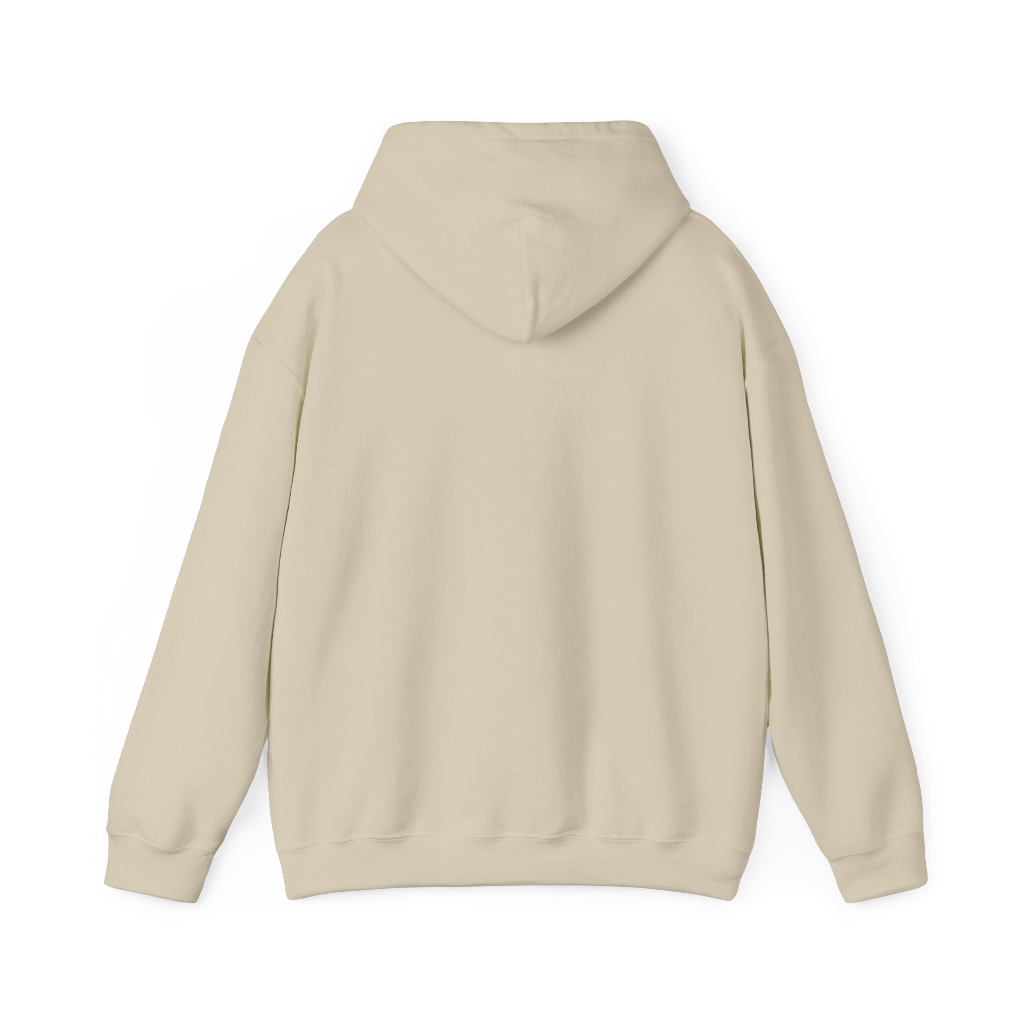 Alive Out Of Spite Hoodie – Pullover
