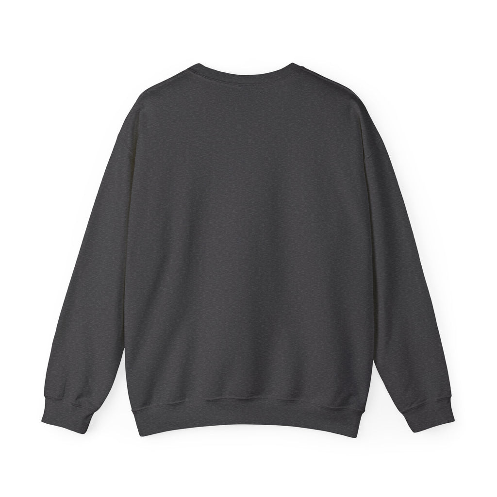 Sweatshirt — 'Quiet Is Never Good' Raccoon Illustration Crewneck