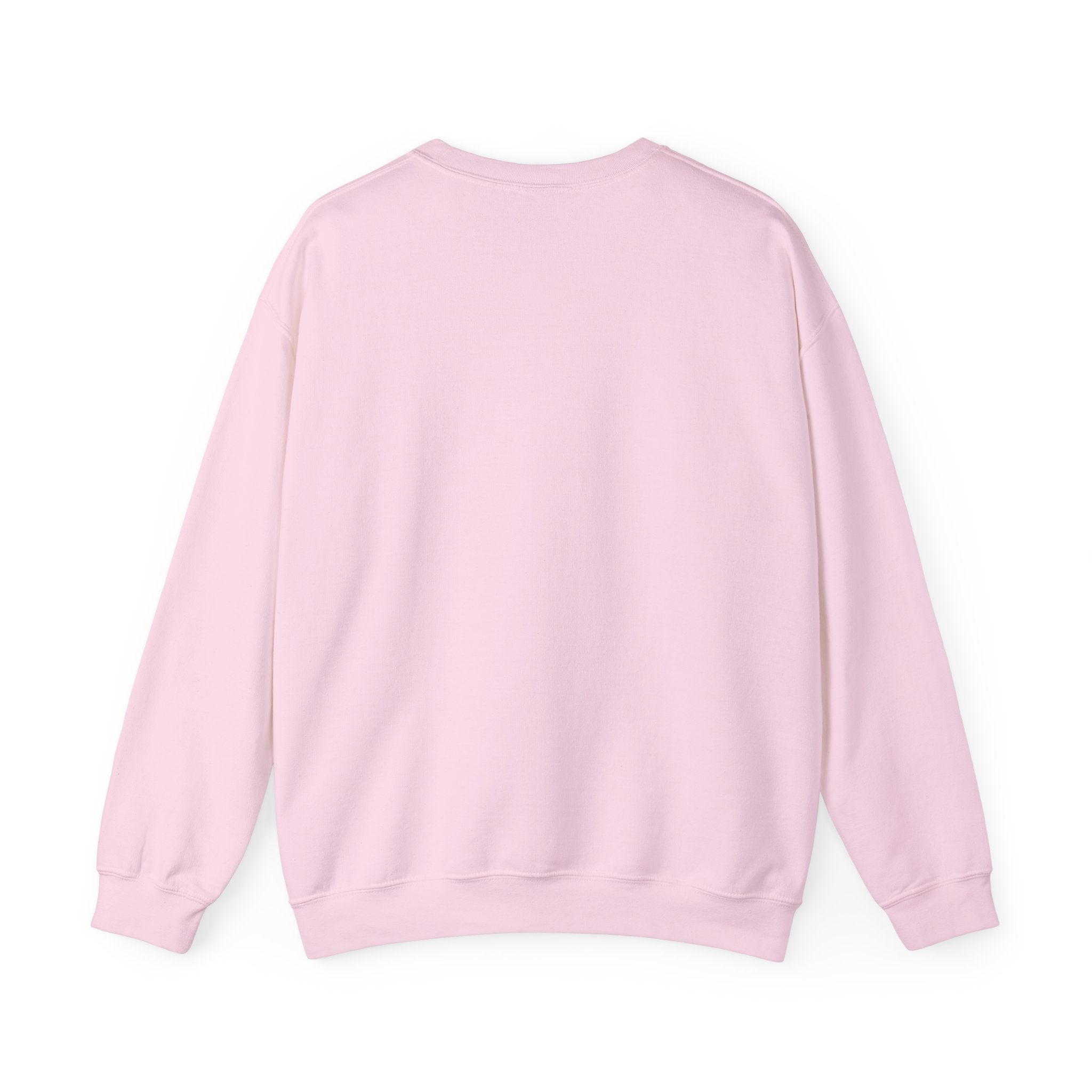 Sweatshirt — 'Quiet Is Never Good' Raccoon Illustration Crewneck