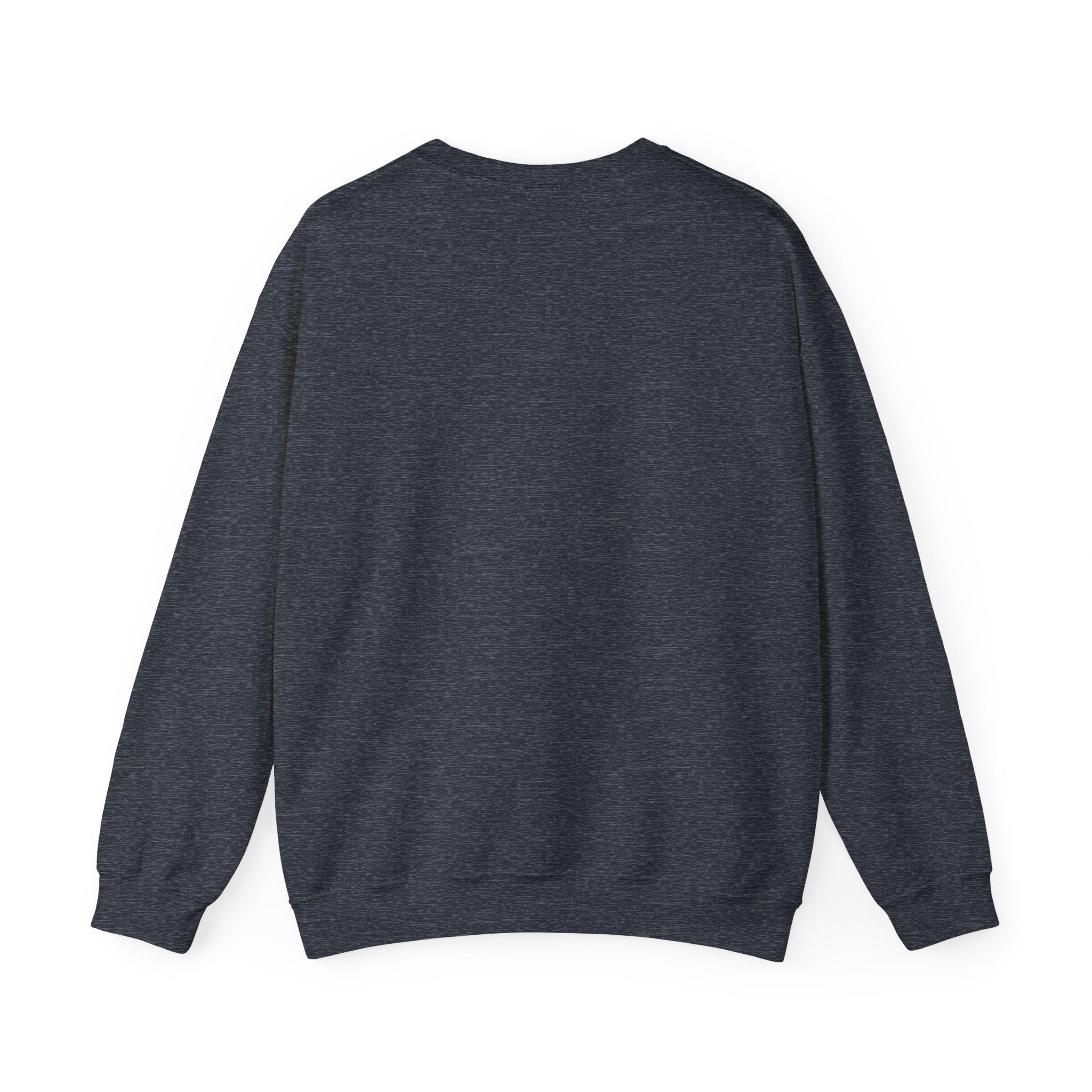Sweatshirt — 'Quiet Is Never Good' Raccoon Illustration Crewneck