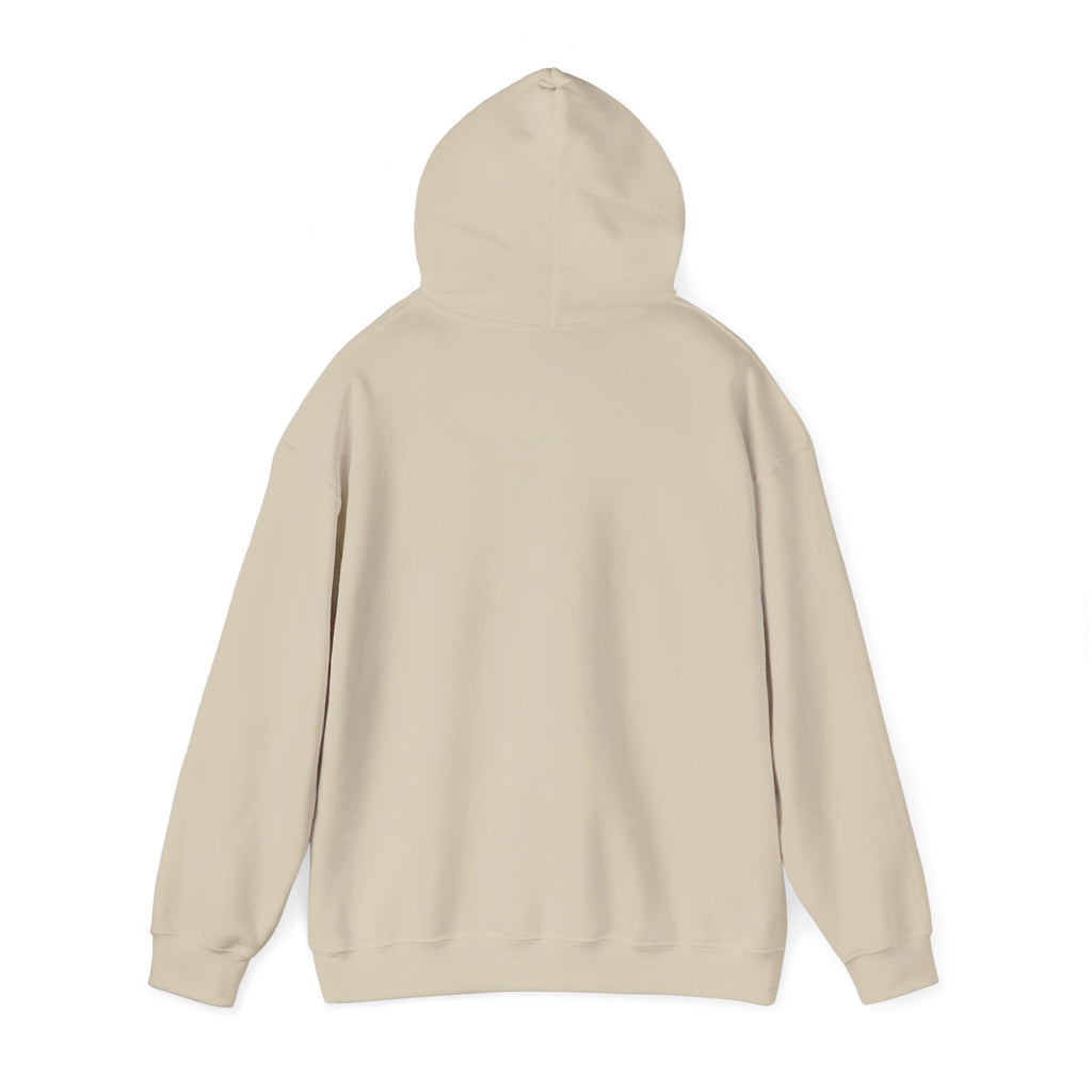 Alive Out Of Spite Hoodie – Pullover