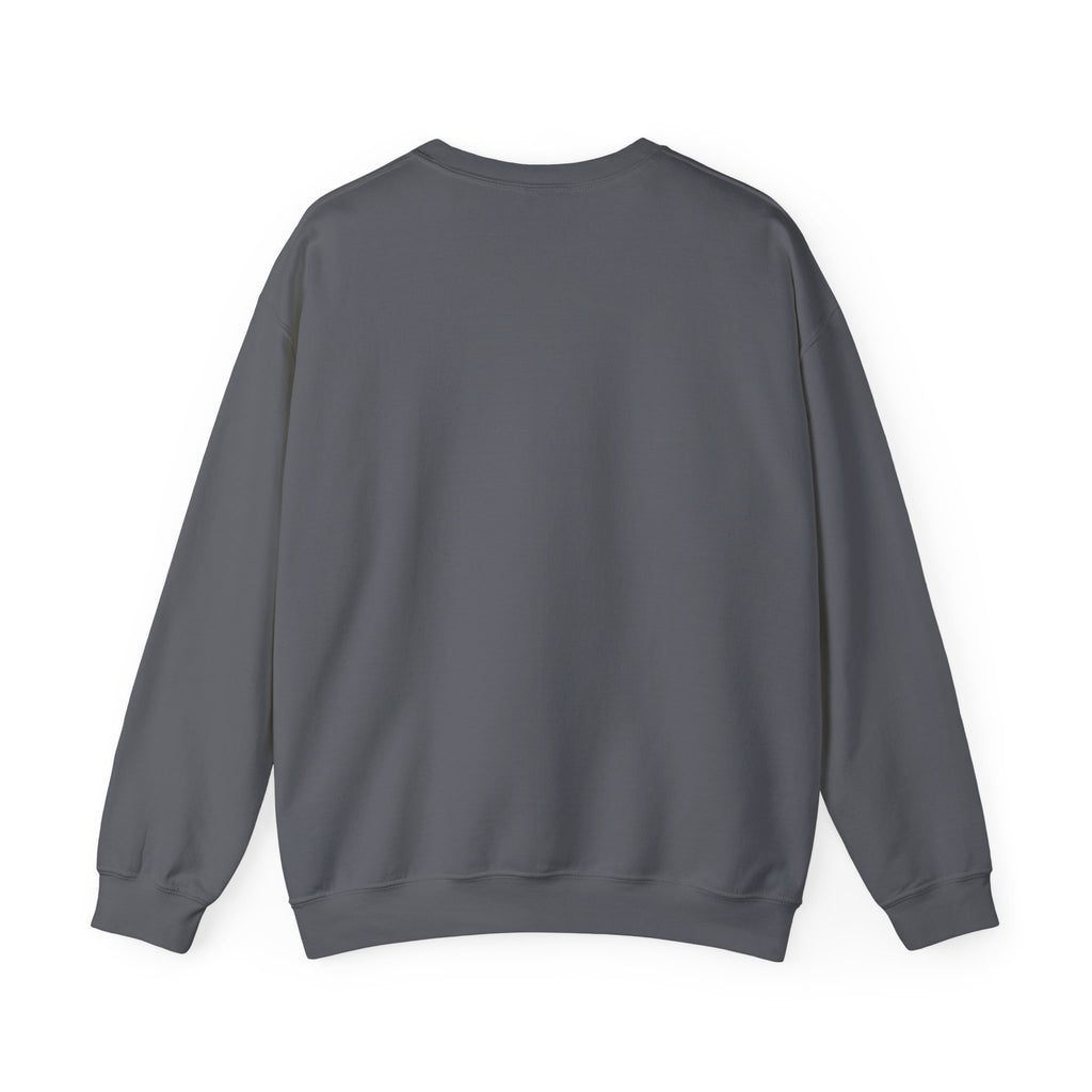 Sweatshirt — 'Quiet Is Never Good' Raccoon Illustration Crewneck