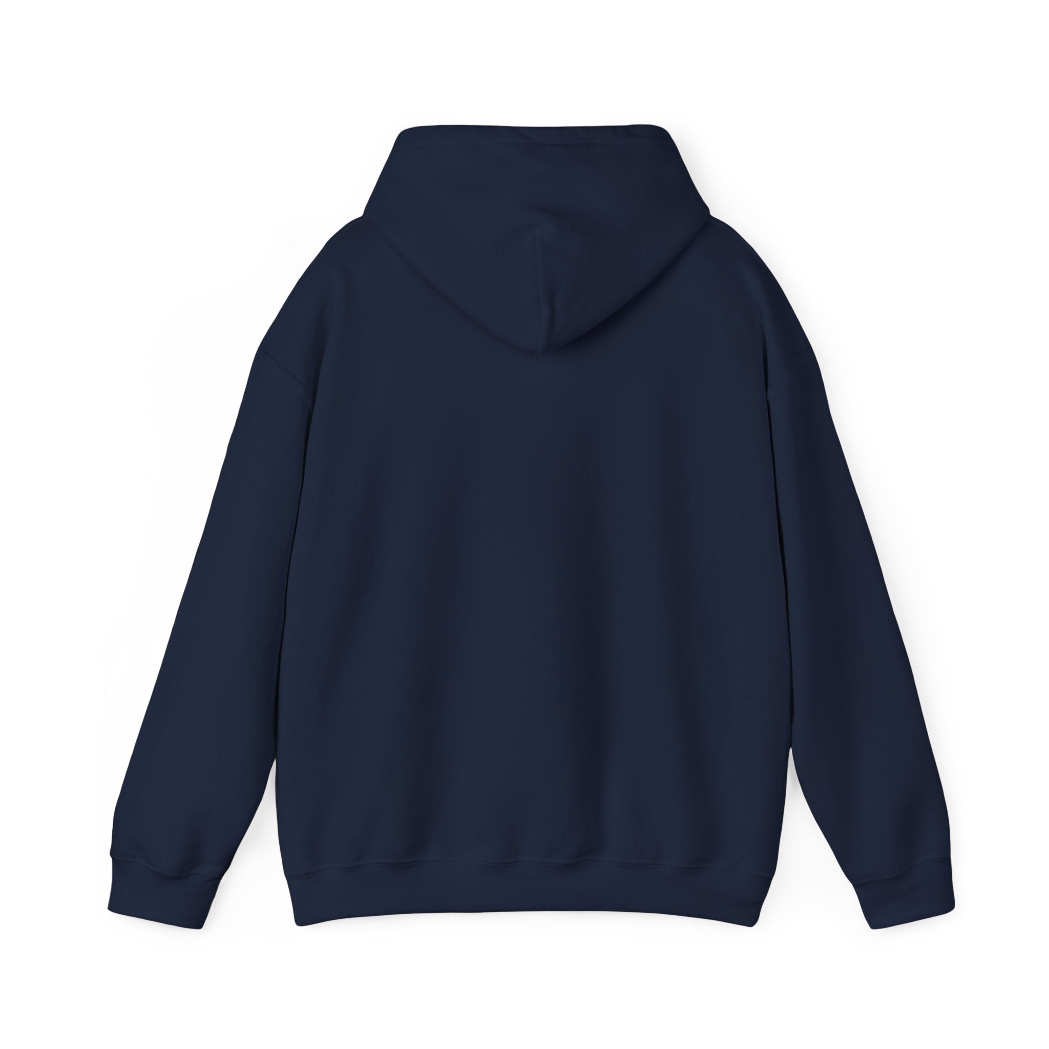 Alive Out Of Spite Hoodie – Pullover